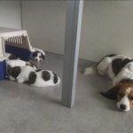 5 Woche